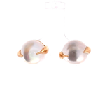Moonstone Stud Earrings in 14k Yellow Gold
