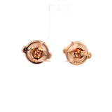 Moonstone Stud Earrings in 14k Yellow Gold