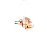 Moonstone Stud Earrings in 14k Yellow Gold