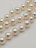Fresh Water Pearl and Sapphire Bracelet in 14k Yellow Gold